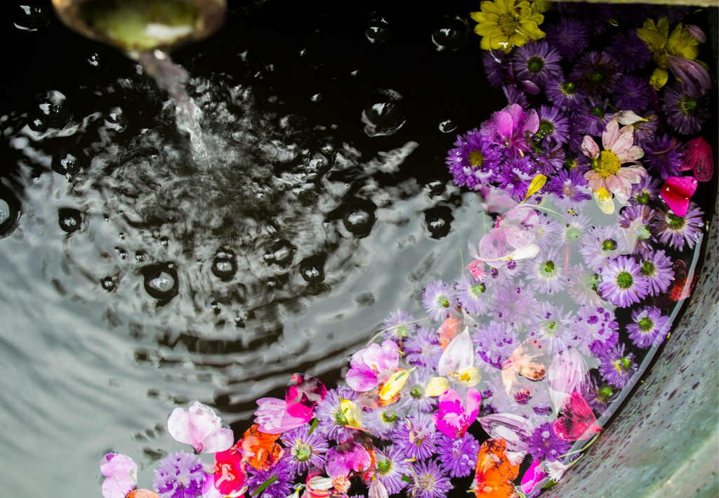 Agua de Florida, Blütenwasser