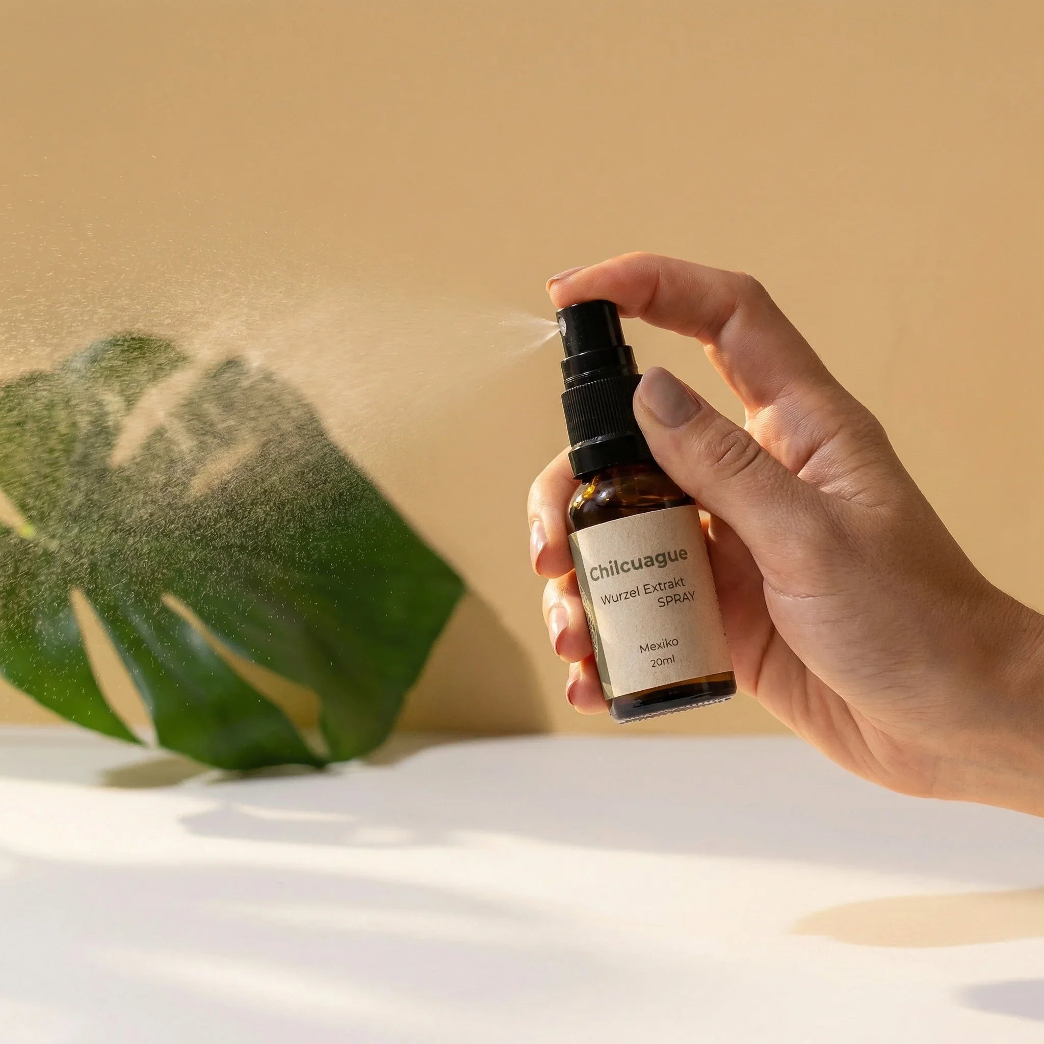 Chilcuague Spray – alltagstaugliche Form der mexikanischen Goldwurzel, Sprayflasche