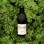 Chilcuague Öl, Wurzel Extrakt aus Mexiko, golden root in Avocadoöl, aztekische goldwurzel, vegan, extrakt, tinktur, kribbelndes Öl, 5ml pipette