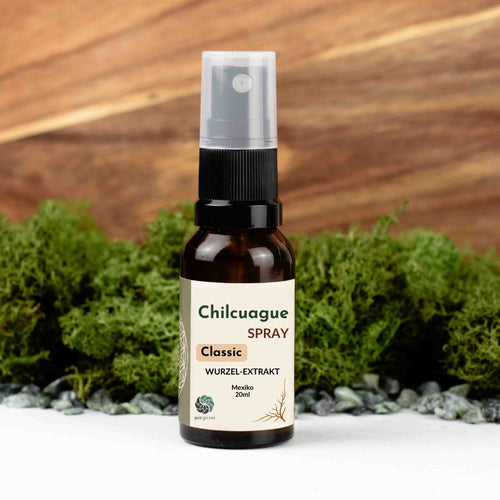 Chilcuague Spray, Wurzel Extrakt aus Mexiko, golden root, Heliopsis longipes, aztekische goldwurzel, extrakt, tinktur, kriblendes Mundspray, Raiz Selvas, 20ml Spray, Anwendung Spray