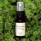 Chilcuague Spray, Wurzel Extrakt aus Mexiko, golden root, aztekische goldwurzel, extrakt, tinktur, kriblendes Mundspray, Raiz Selvas