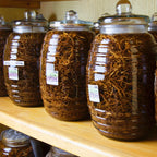 Chilcuague Spray, Wurzel Extrakt aus Mexiko, golden root, aztekische goldwurzel, extrakt, tinktur, kriblendes Mundspray, Raiz Selvas