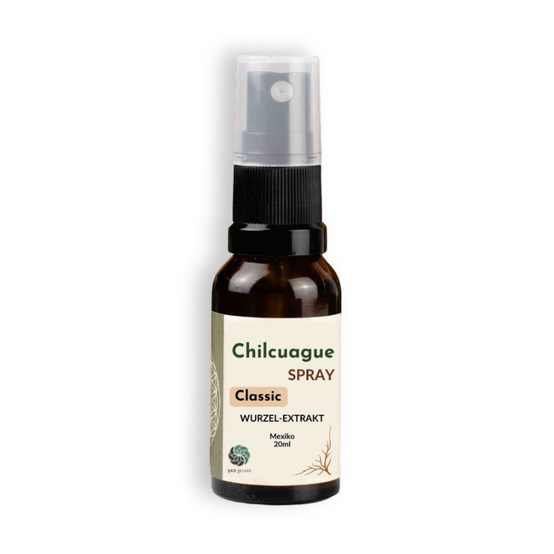 Chilcuague Spray, Wurzel Extrakt aus Mexiko, golden root, Heliopsis longipes, aztekische goldwurzel, extrakt, tinktur, kriblendes Mundspray, Raiz Selvas, 20ml Spray, Anwendung Spray