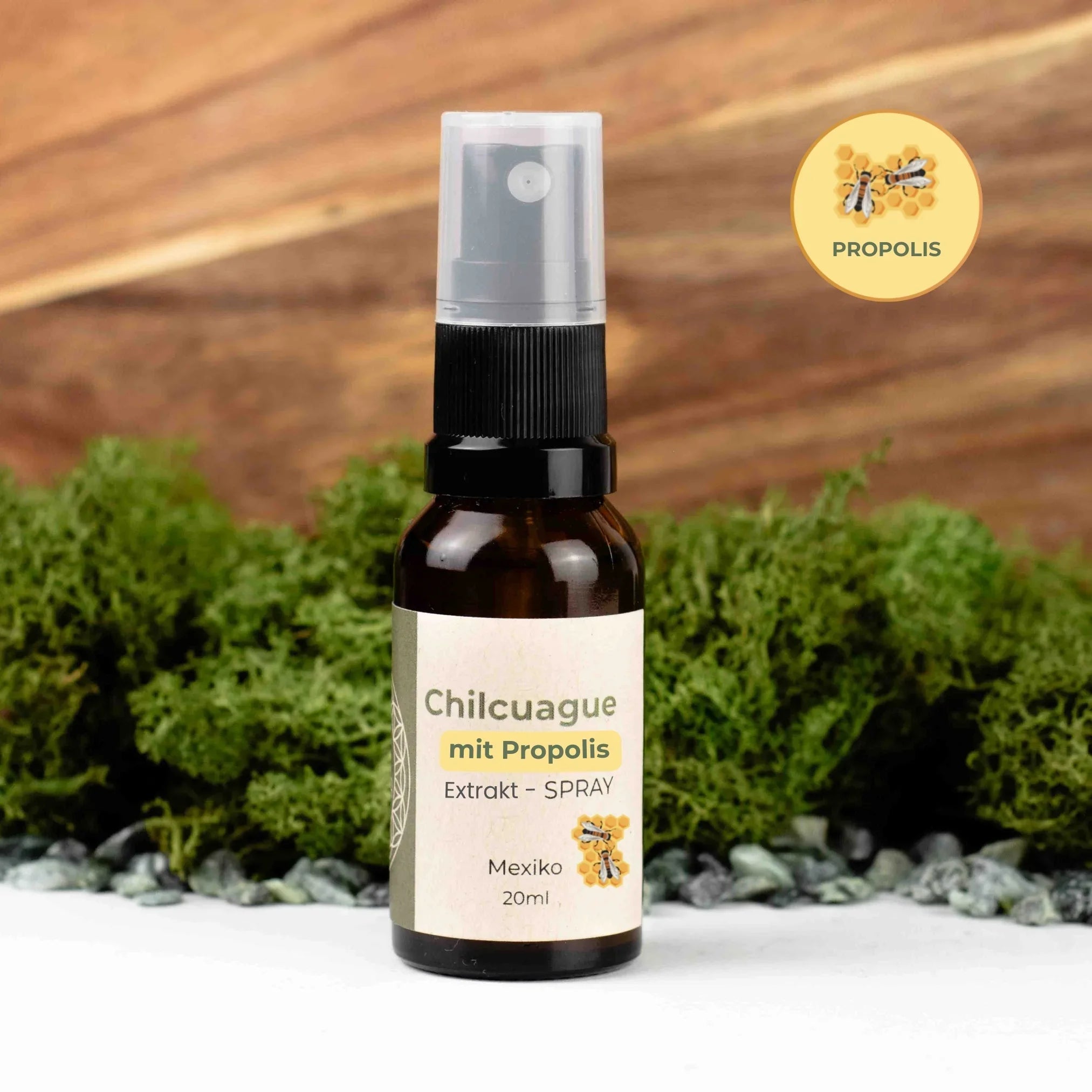 Chilcuague Spray, mit Propolis, Wurzel Extrakt aus Mexiko, golden root, Propoleo, aztekische goldwurzel, extrakt, tinktur, Mundspray