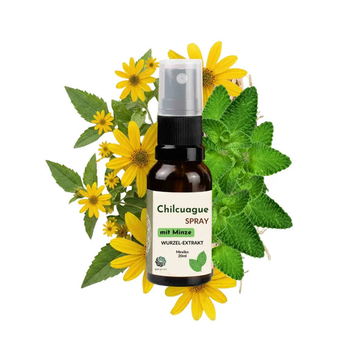 Chilcuague Spray, mit Minze, Wurzel Extrakt aus Mexiko, Minzextrakt, golden root, aztekische goldwurzel, extrakt, tinktur, Mundspray, Herstellung, Helios Longipis, natürliches Erfrischungsspray für den Mund