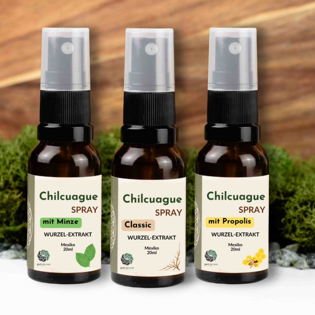 Chilcuague Spray, 3er Set, Chulcuague Classic, Chilcuague mit Minze, Minzextrakt, Chilcuague mit Propolis, Propolisextrakt, Wurzel Extrakt aus Mexiko, golden root, Heliopsis longipes, aztekische goldwurzel, extrakt, tinktur, kriblendes Mundspray, Raiz Selvas, 20ml Spray, Anwendung Spray, spare 15% im Set
