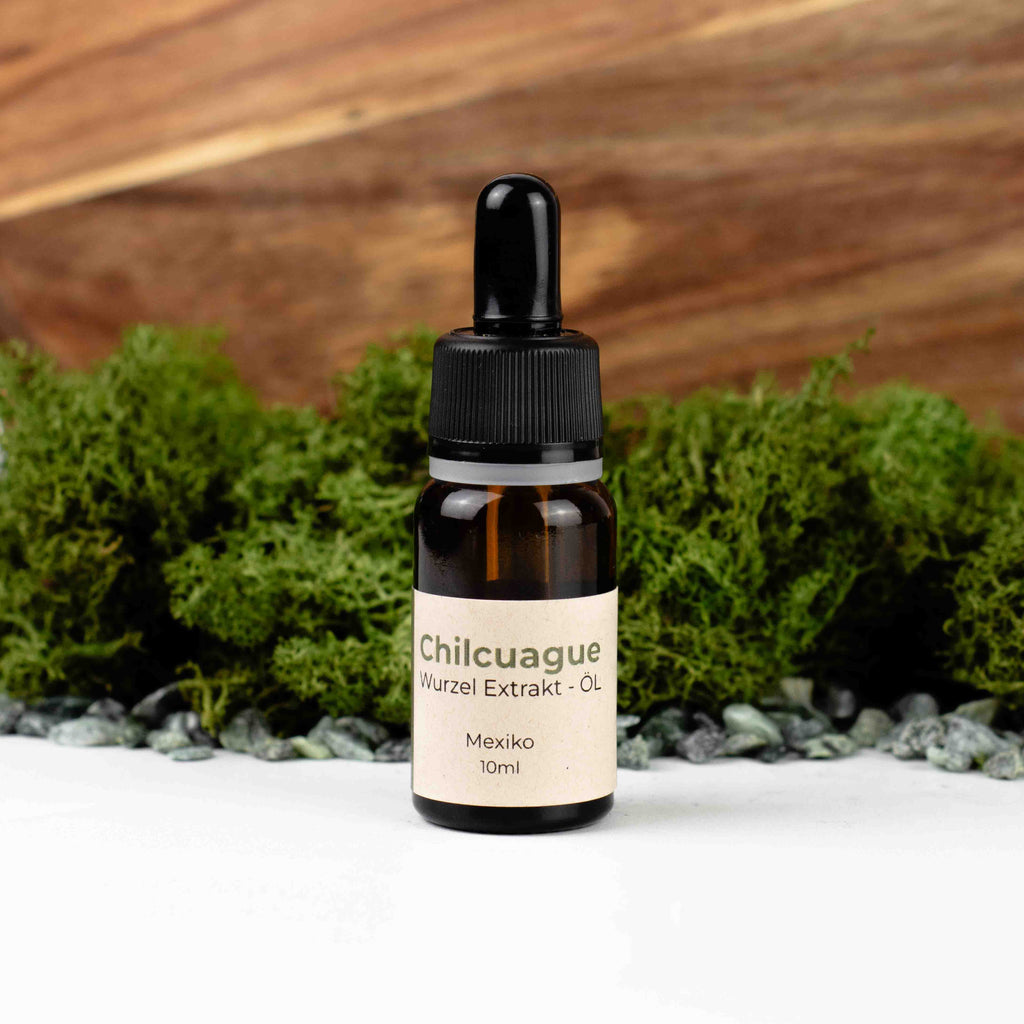 Chilcuague Öl, Wurzel Extrakt, Tinktur, Goldene Wurzel, golden root, aus Mexiko, Pipette, Glasflasche, 10ml