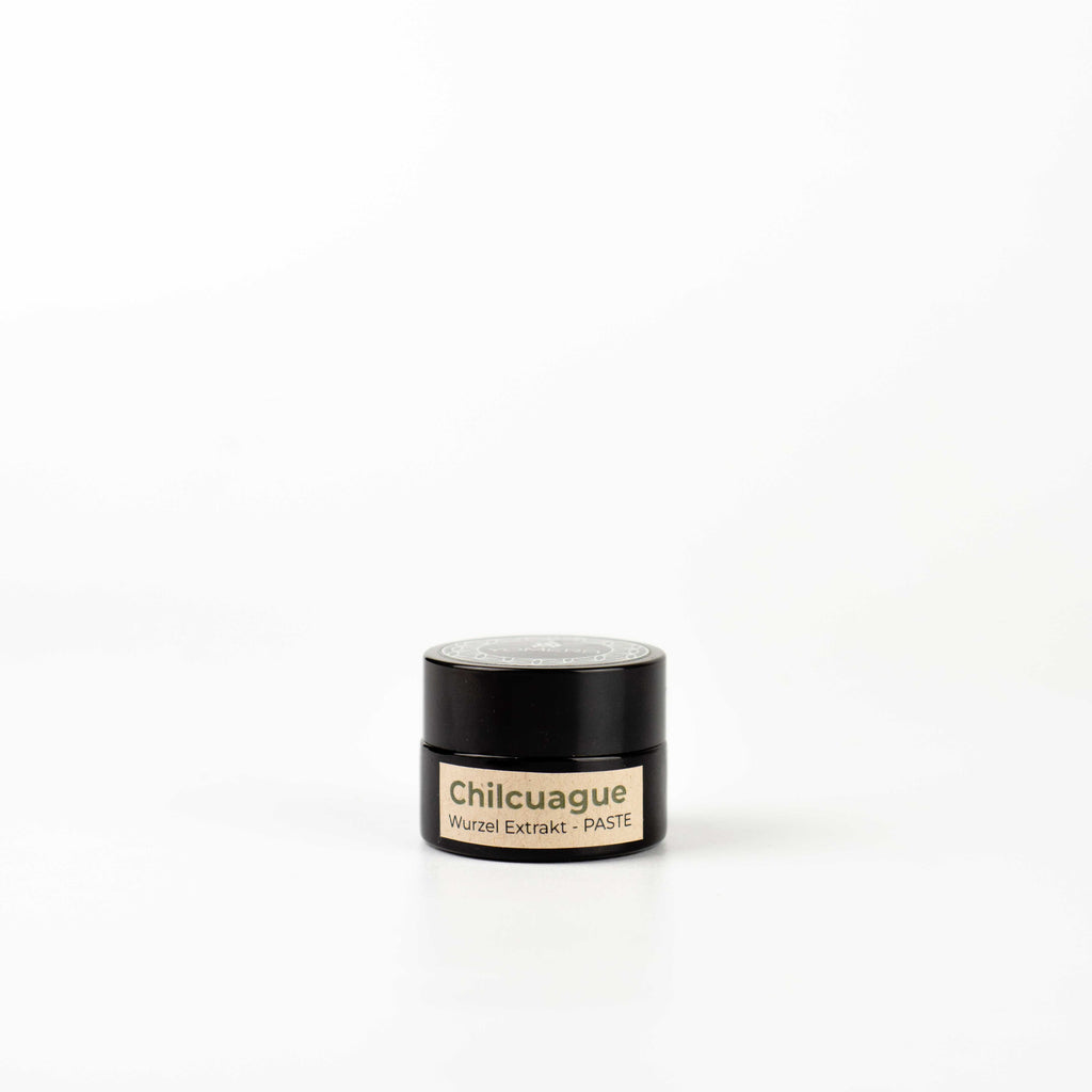 Chilcuague Paste, Wurzel Extrakt, goldene Wurzel, golden root, paste, Konzentrat