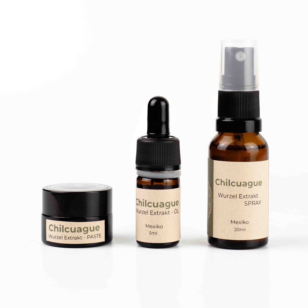 Chilcuague Set, golden root, goldenen wurzel aus Mexiko, chilcuague Öl Spray Paste