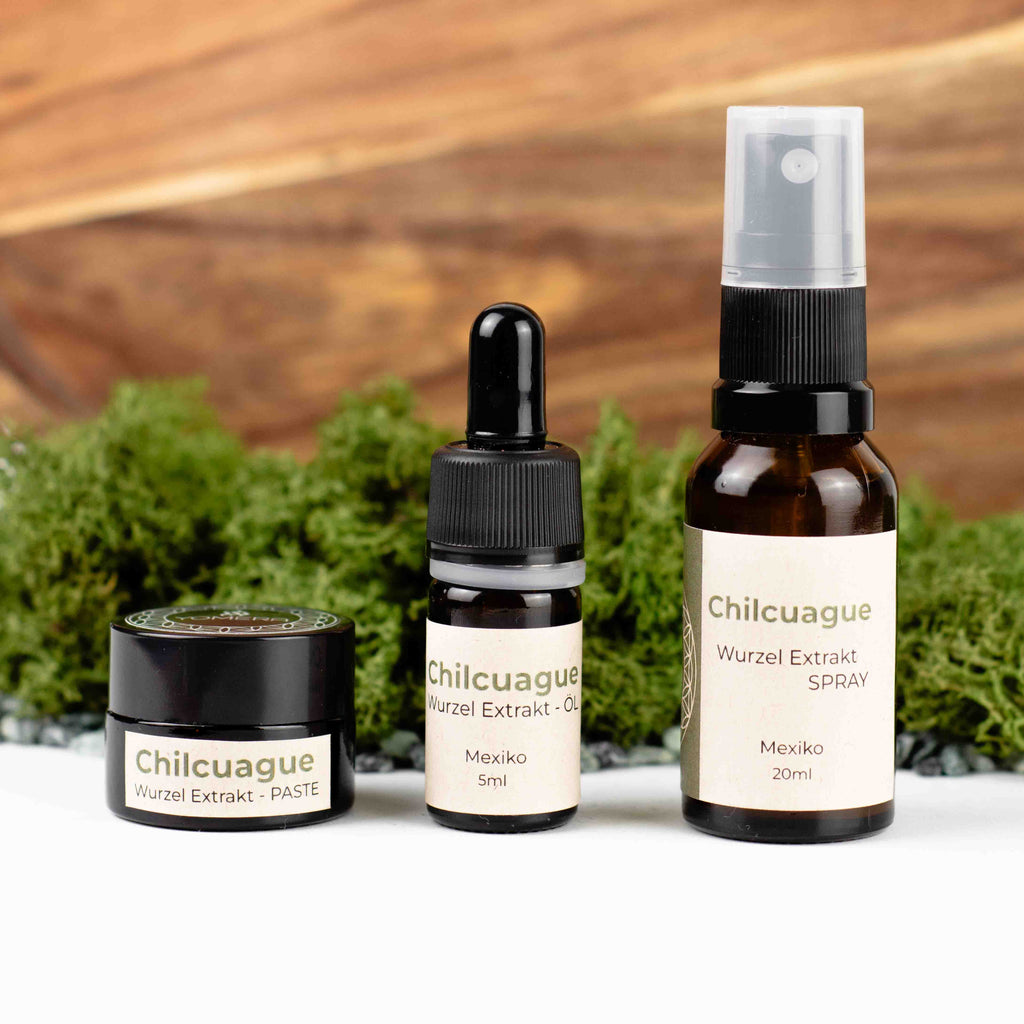 Chilcuague Set, golden root, goldenen wurzel aus Mexiko, chilcuague Öl Spray Paste