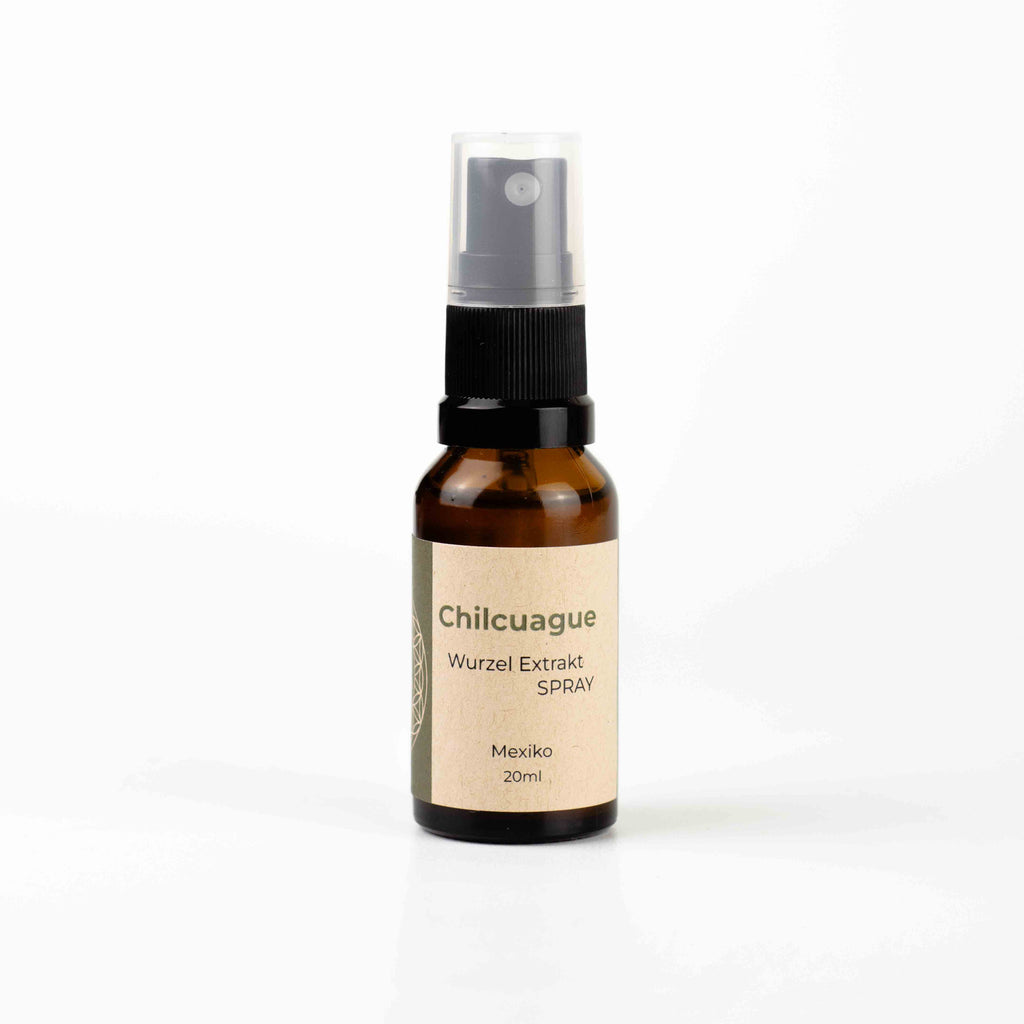 Chilcuague Spray, golden root, goldenen wurzel aus Mexiko, chilcuague Öl Spray, Artesische Goldwurzel