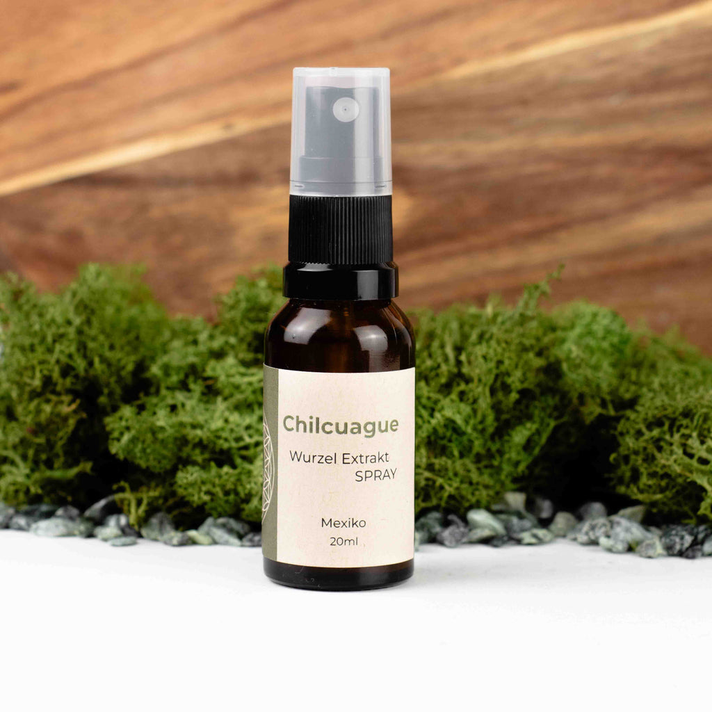 Chilcuague Spray, golden root, goldenen wurzel aus Mexiko, chilcuague Öl Spray, Artesische Goldwurzel