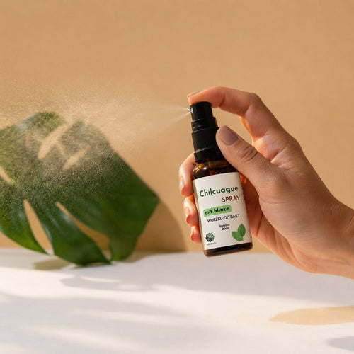 Chilcuague MINZE Spray