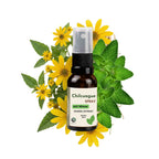 Chilcuague Spray 3-Piece SET