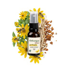 Chilcuague Spray, mit Propolis, Wurzel Extrakt aus Mexiko, golden root, Propoleo, aztekische goldwurzel, extrakt, tinktur, Mundspray, Propolisextrakt