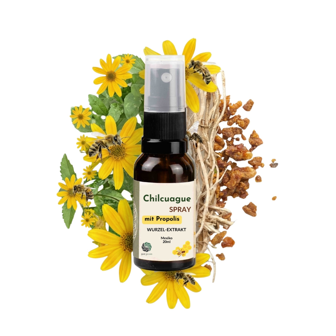 Chilcuague Spray, mit Propolis, Wurzel Extrakt aus Mexiko, golden root, Propoleo, aztekische goldwurzel, extrakt, tinktur, Mundspray, Propolisextrakt