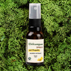 Chilcuague Spray, mit Propolis, Wurzel Extrakt aus Mexiko, golden root, Propoleo, aztekische goldwurzel, extrakt, tinktur, Mundspray, Propolisextrakt