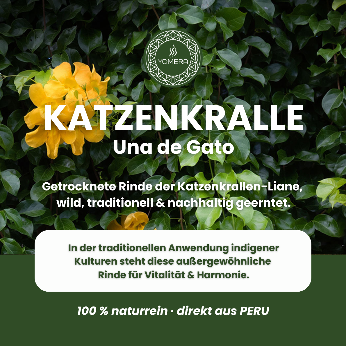 Una de Gato, Katzenkralle, Catsclaw, Vilcacora, Katzenkralle Rinde aus Peru. Rinde zum aufkochen. Katzenkralle Tee