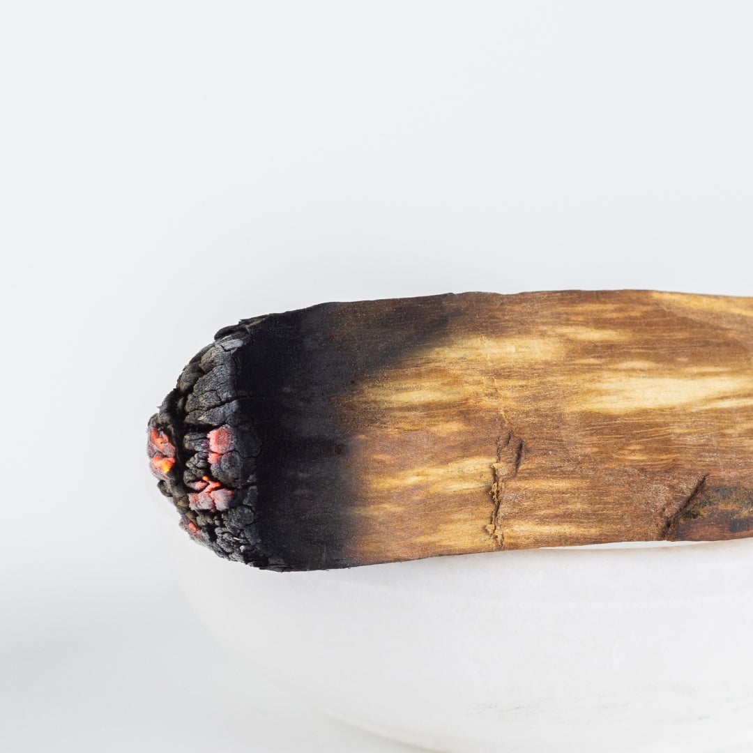 Palo Santo, Bursera graveolens, heiliges Holz, holy wood, Räucherholz, unbehandelt, premiumqualität aus Peru, Palo Santo anzünden