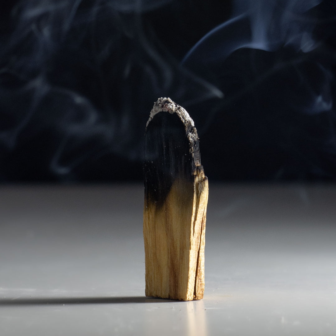 Palo Santo, Bursera graveolens, heiliges Holz, holy wood, Räucherholz, unbehandelt, premiumqualität aus Peru, Palo Santo anzünden
