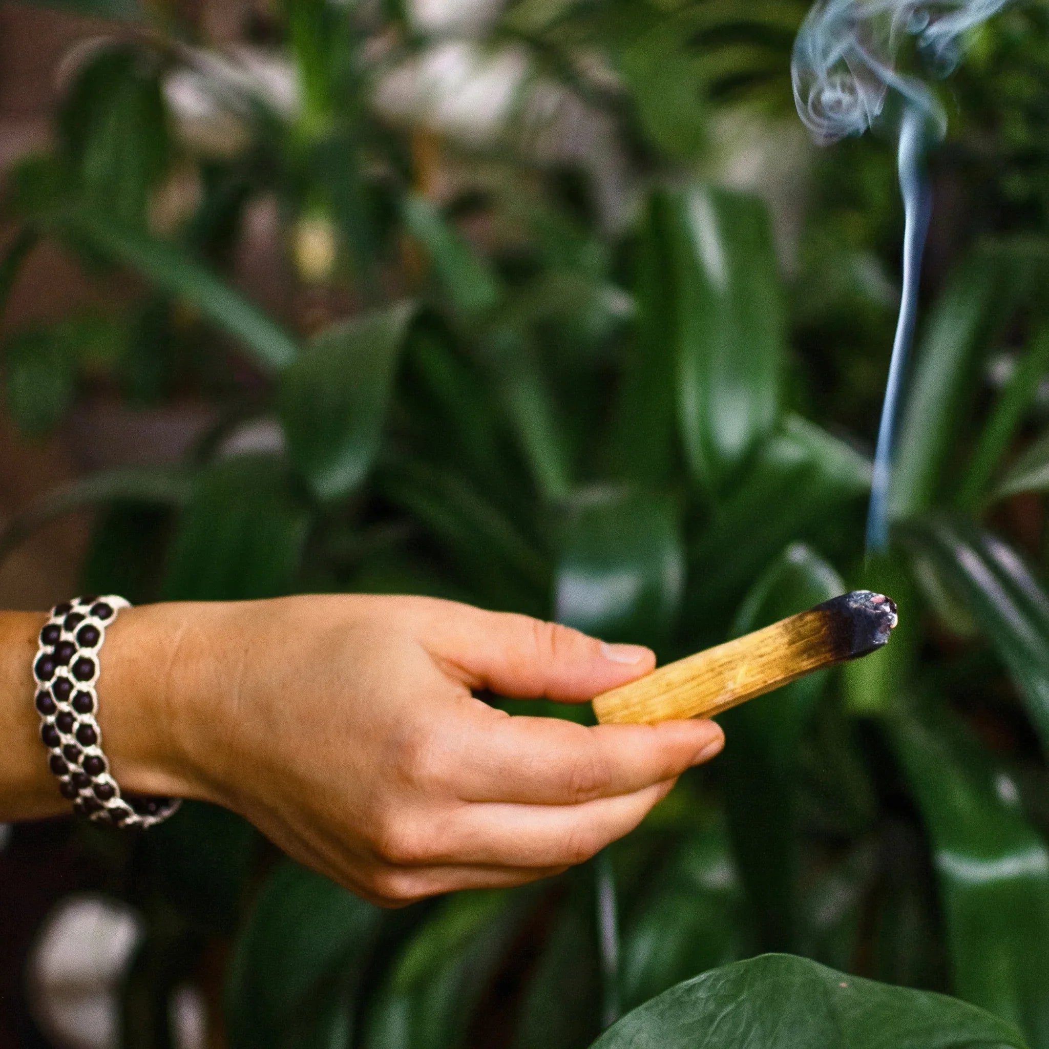 Palo Santo, Bursera graveolens, heiliges Holz, holy wood, Räucherholz, unbehandelt, premiumqualität aus Peru, Palo Santo anzünden, Anwendung Palo Santo