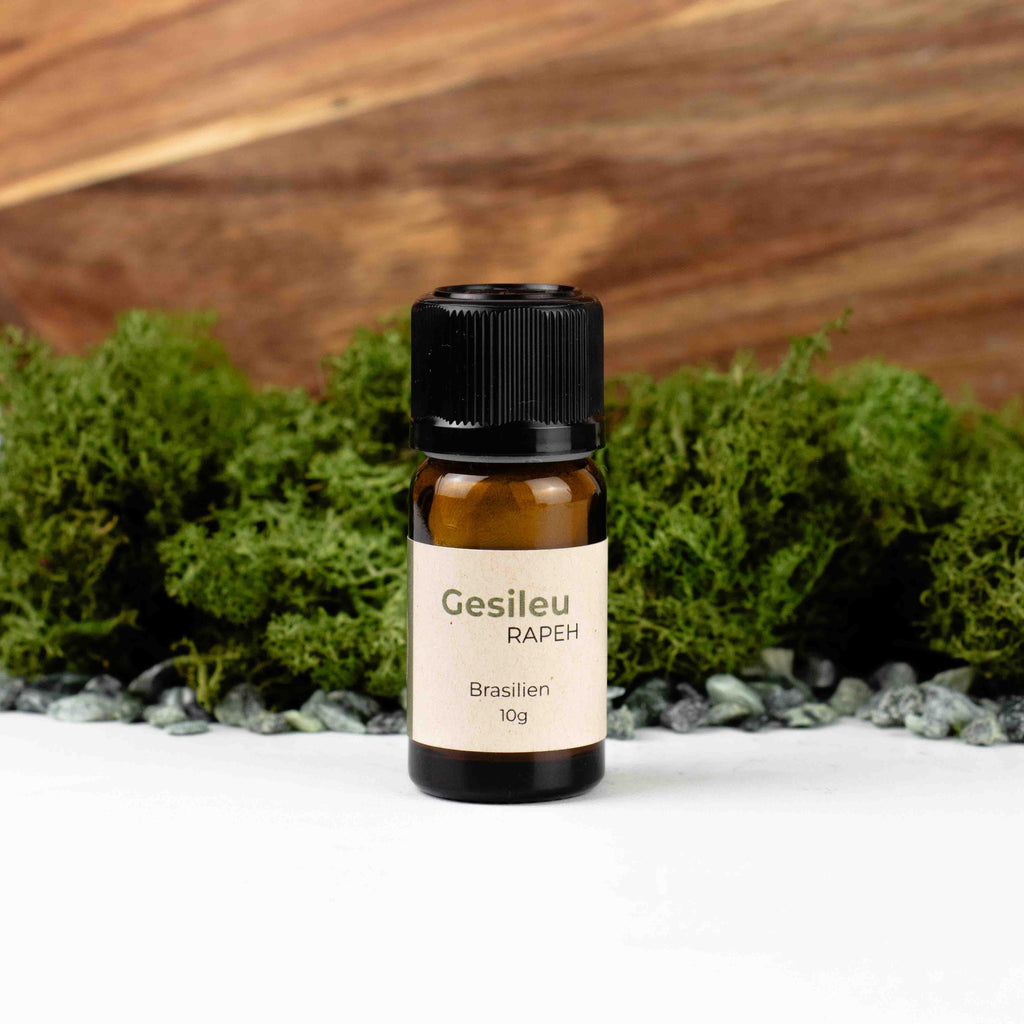 Rapeh, Repè, Gesileu, aus Brasilien, 10g, im Glas wiederverschließbar