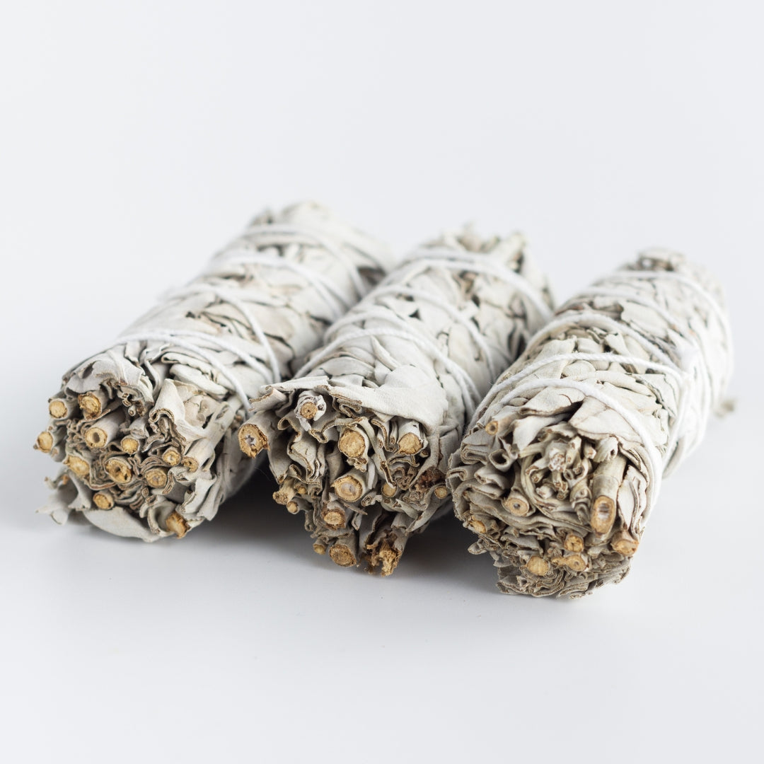 Weißer Salbei Smudge zum Räuchern, handgerollt 