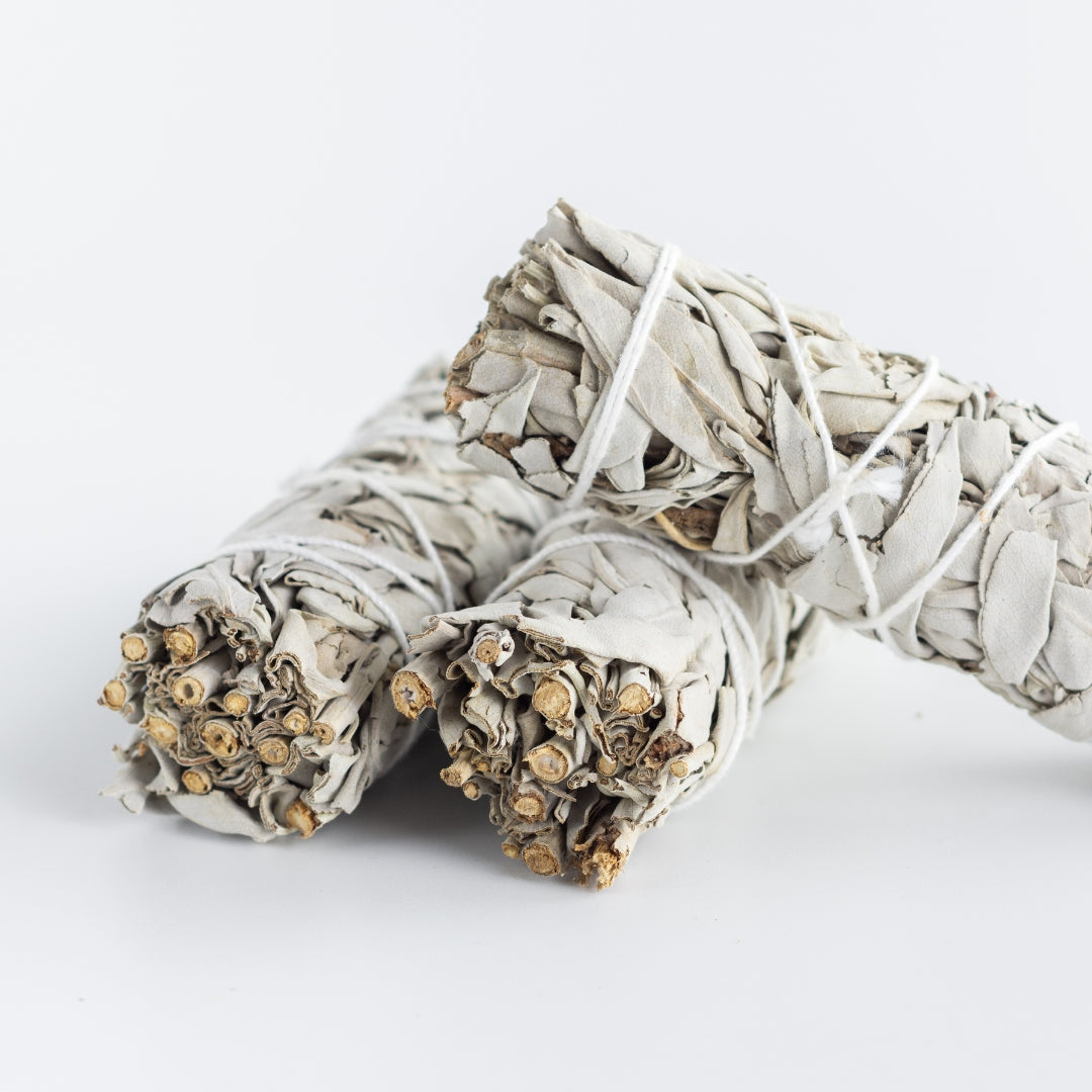 Weißer Salbei Smudge zum Räuchern, handgerollt 