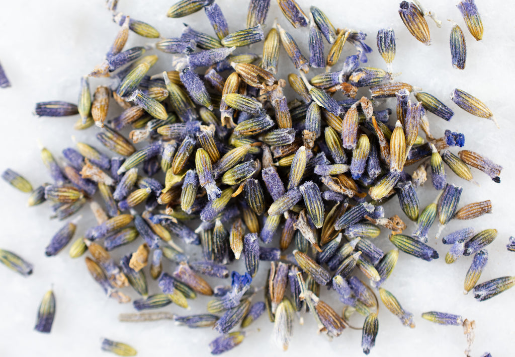 Lavendel Blüten - YOMERA